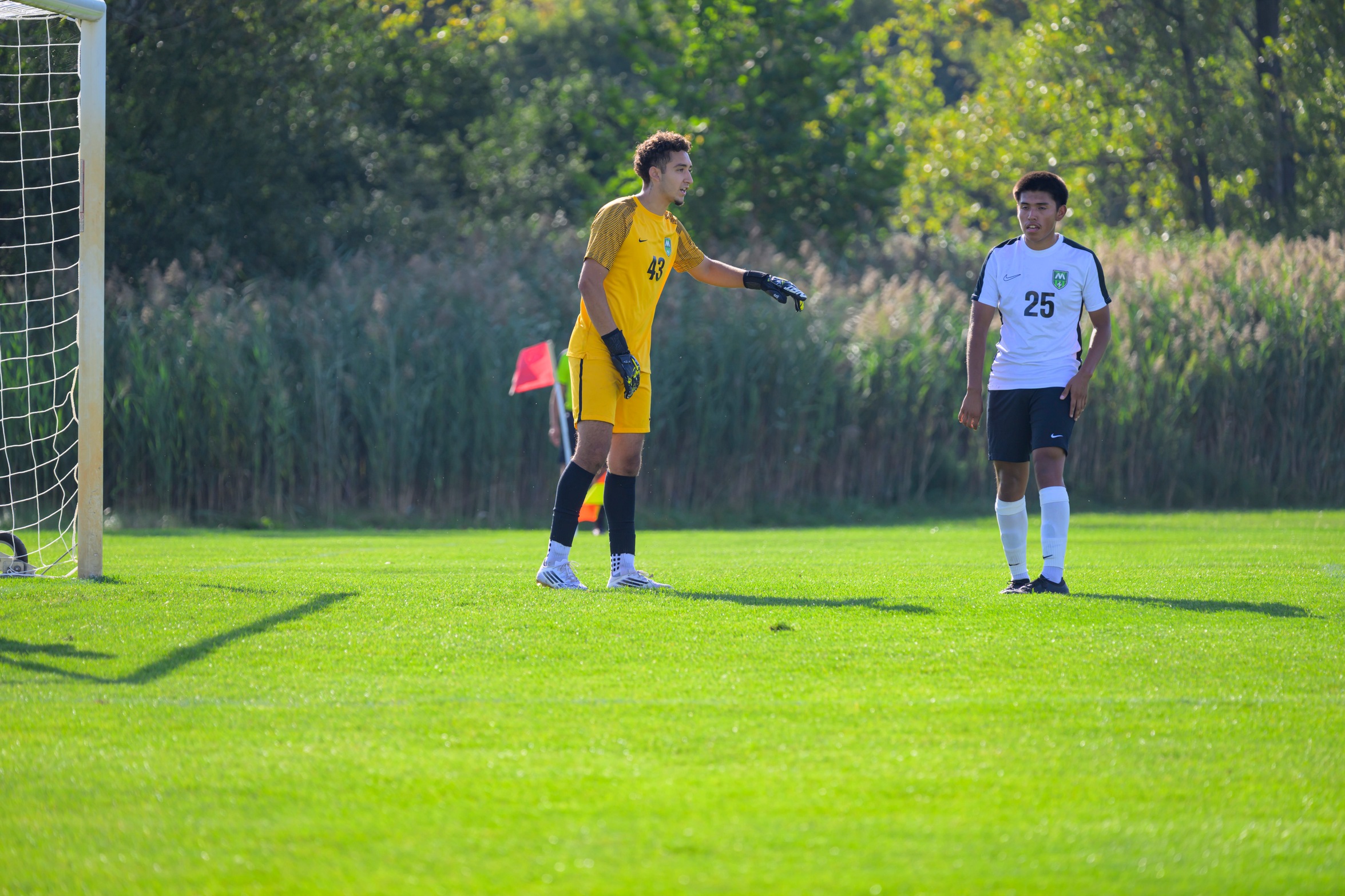 Cyclones fall to Spartans